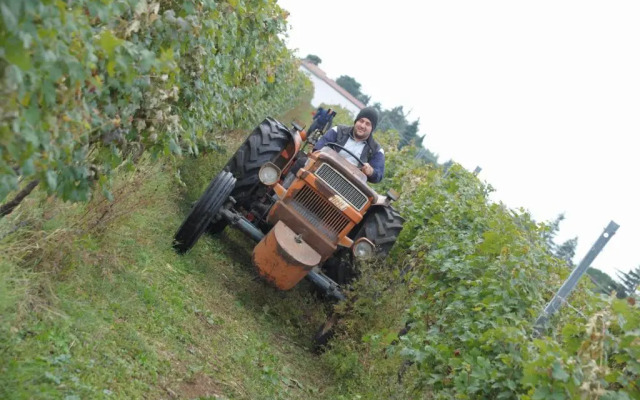 Agriturismo Sol De Montalto