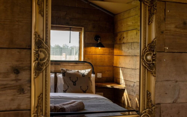 Luxury Safari Lodge Surrounded by Deer!! 'fallow'
