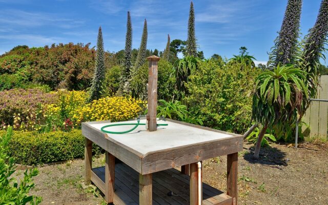 Surf Motel and Gardens