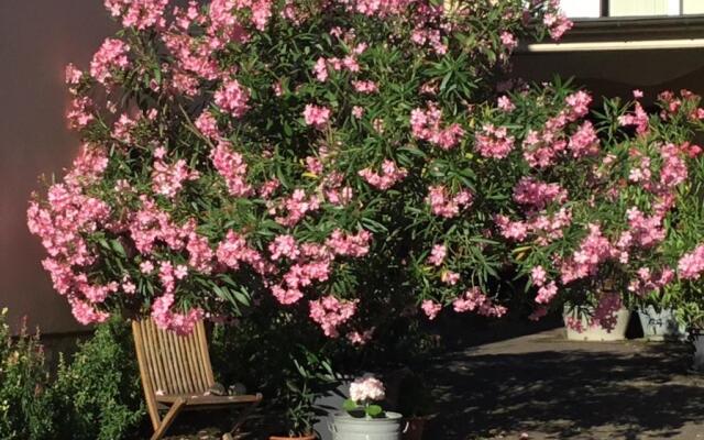 Ferienwohnungen In de goldisch Luft