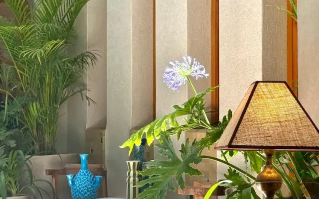 Riad Casa Felicità