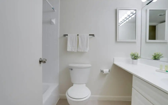 Charming Elegance Crystal City Apartment