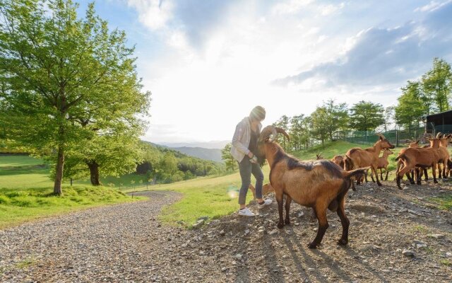 Agriturismo Casa Passerini a Firenze