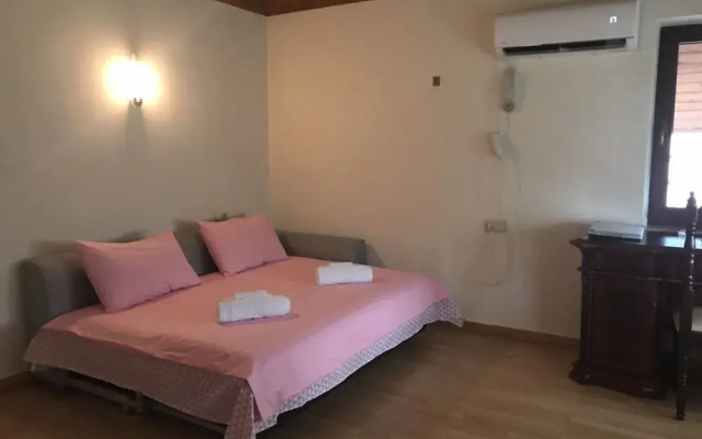 Rare house with garden in Tbilisi