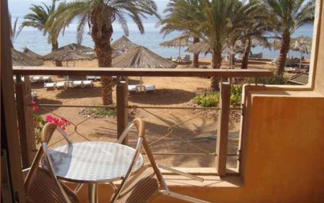 Coral Bay Aqaba