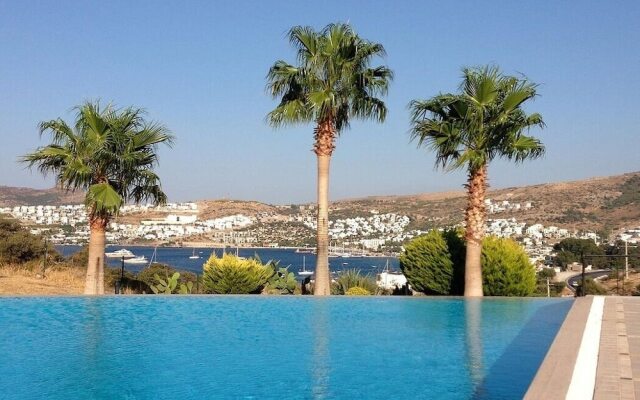 BO092 by Villaofsummer