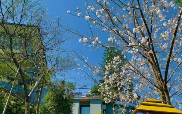 Lan Rung Retreat Sapa – Outside – Sa Pa