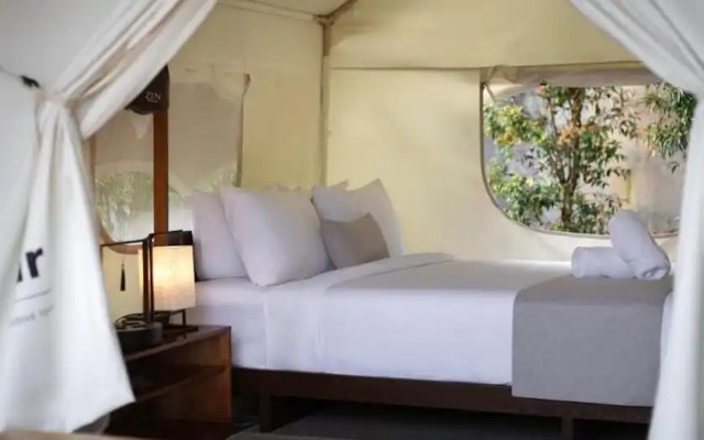 Zen By Stellar Cameron