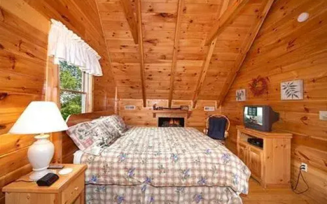 Buddy Bear 249 by Aunt Bug's Cabin Rentals