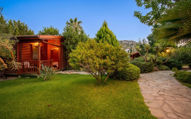 Hayitbükü Ahşapevleri̇