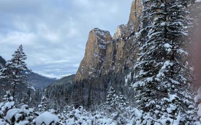 Appartments Cesa Collina