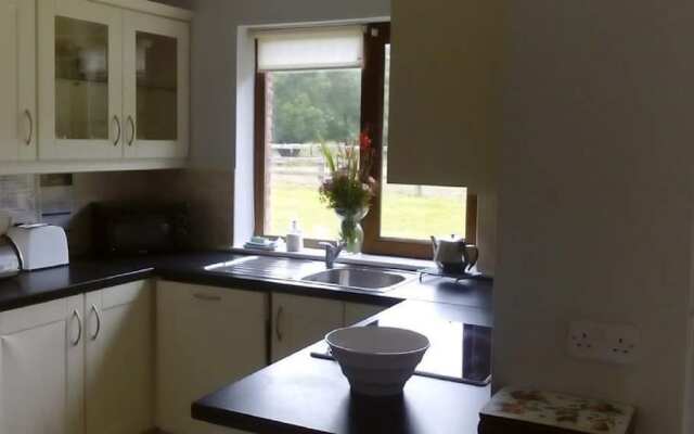 Ardnagashel Woods No 4