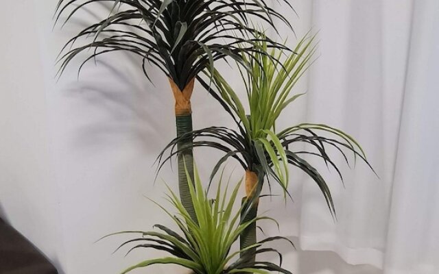 Velutti Family Vista Mar - Penha - SC