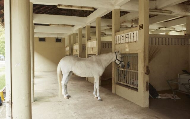 Terengganu Equestrian Resort