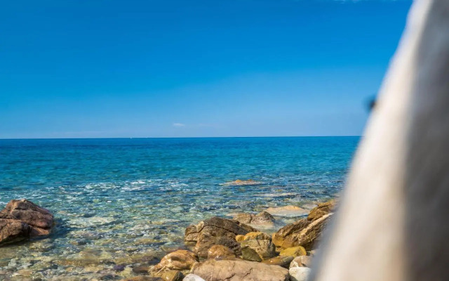 Azienda Agricola Club Le Cannelle