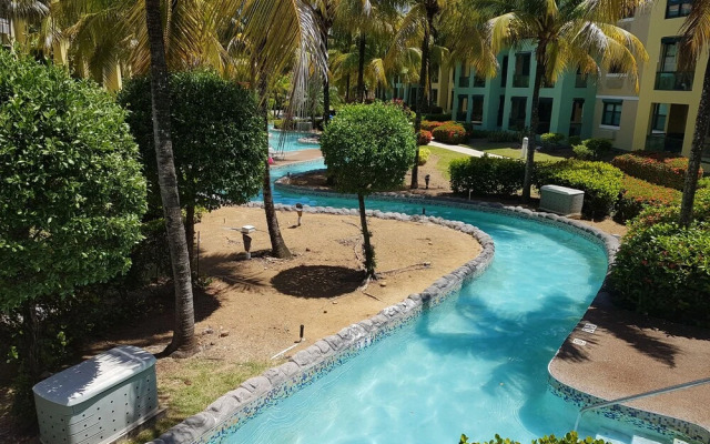 Slice of Paradise