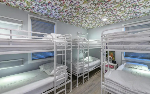 Black Elephant Hostel