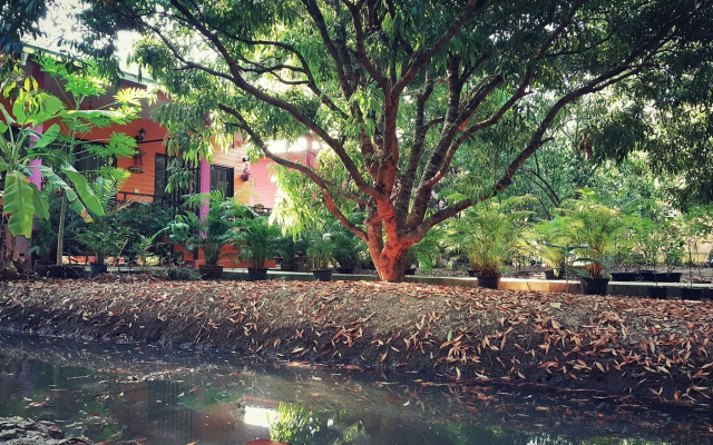 Warakorn Baansuan - Amphawa