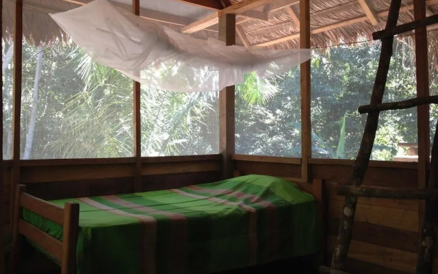 Tambopata Trek