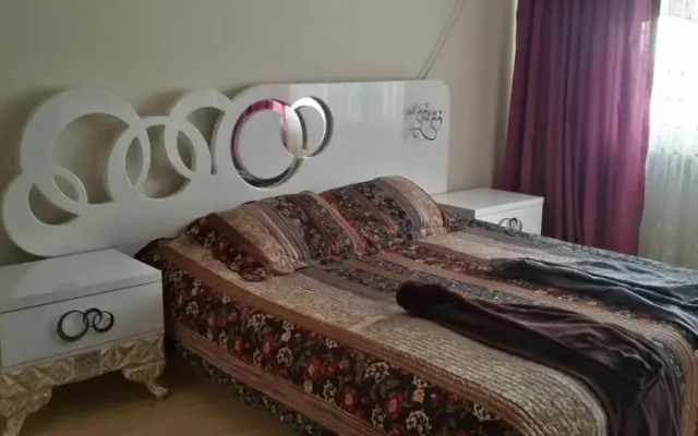 Asel House