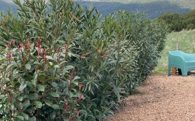 Rsidence Patios di Pruno