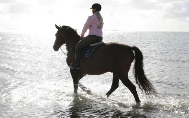 Wohnung-Felsenauster-im-Haus-Muschelgarten