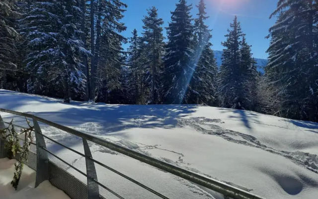 La Petite Foret Chamrousse 1700