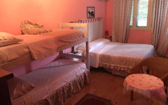 B&B Xenia