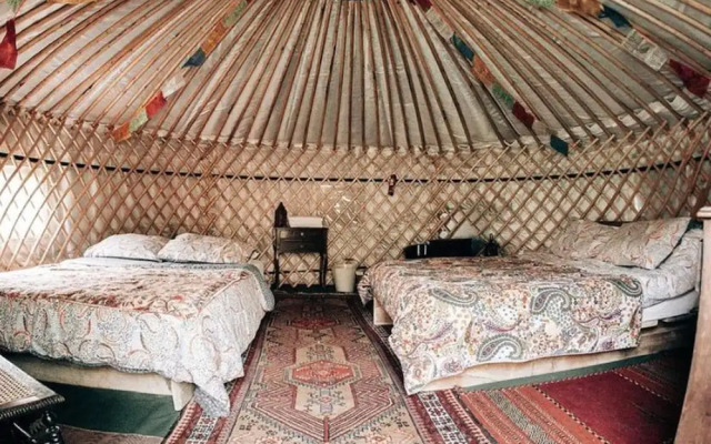 Hapus Yurt - Two Beautiful Yurts and Barn Cottage