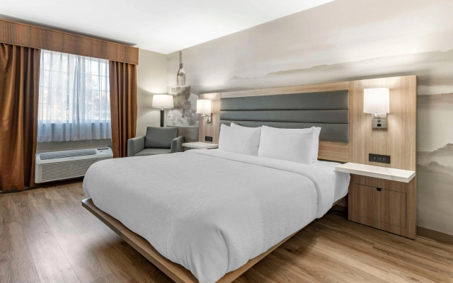 Best Western Plus Vineyard Inn