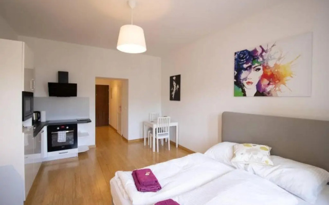 Studio-Apartment between Schoenbrunn & the City Center (30)