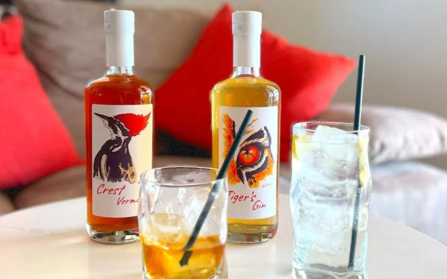 Villa Anna Miralago in Puegnago sul Garda