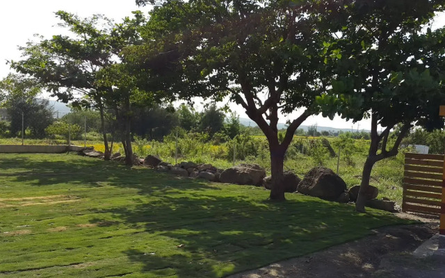 No.6 Pets Bed and Breakfast