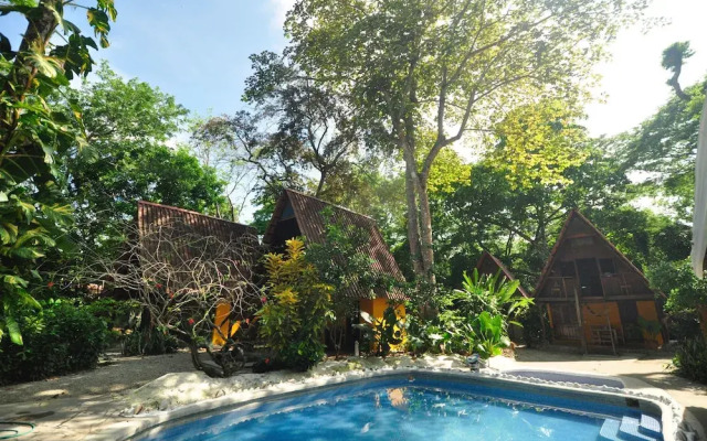 The Howler Monkey Hotel