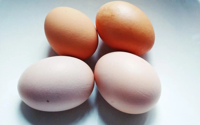 Penzion U Lucerny s malou farmičkou