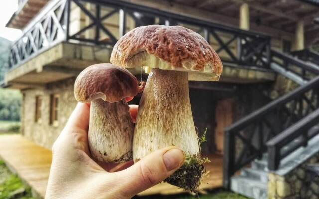 Beautiful Large Villa in Tylmanowa