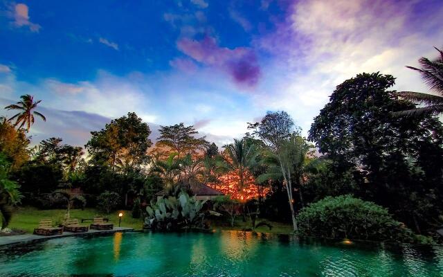 Bali Palms
