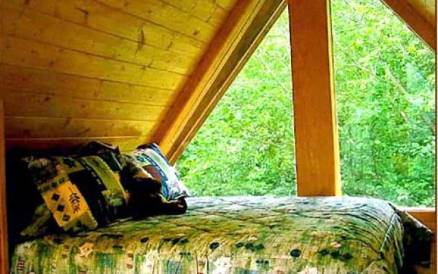 Alaska Adventure Cabins