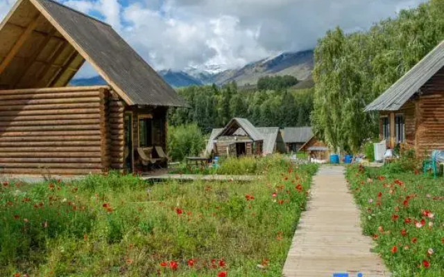 Hemu Lemon Tree Yashe