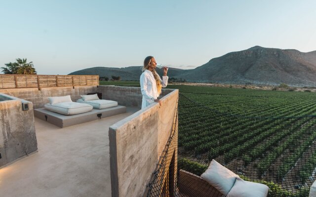 Paradero Todos Santos - Exclusive Experiences