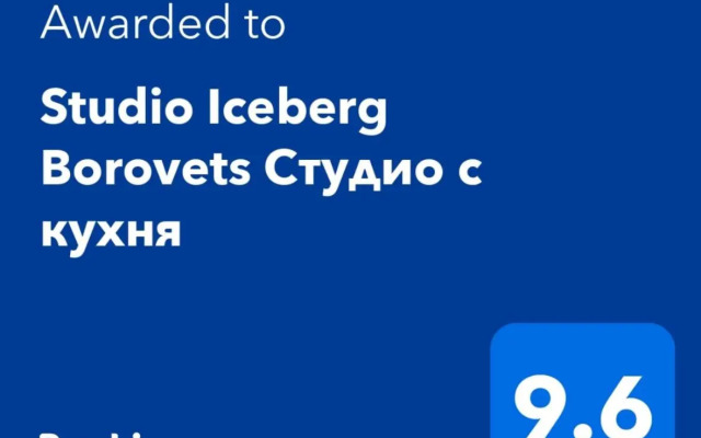 Studio Iceberg Borovets Студио с кухня