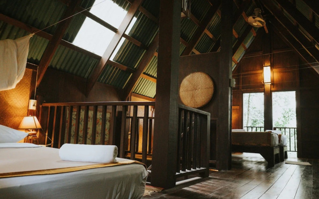 Our Jungle House
