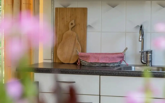 Apartment in Vrouwenpolder Near the Dunes