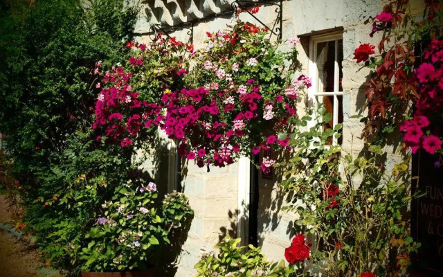 The Greyhound Inn Taunton