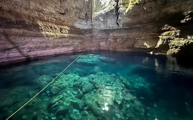 Jungla y Estrellas K AAX EK