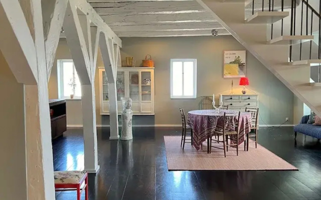 The Apartment Upstairs Canal Penthouse in Copenhagen