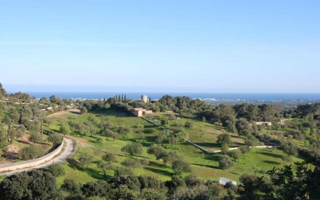 Puig de sa figuera