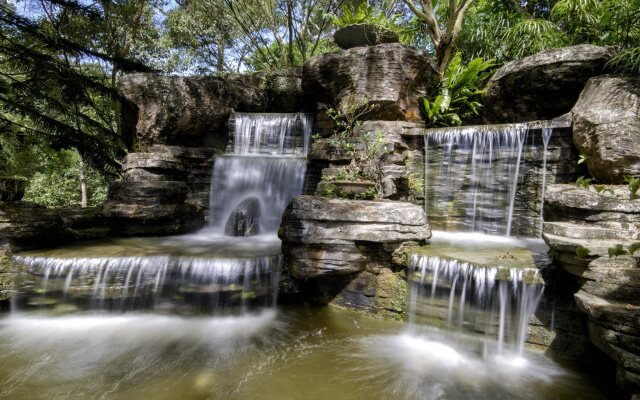 Fig Tree Hill Resort