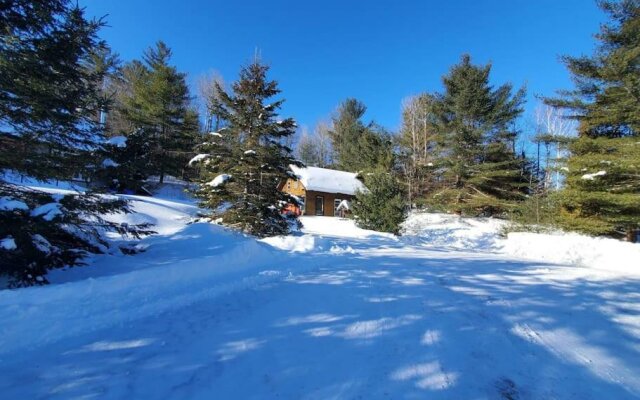 Dream vacation cottage for all seasons 4 bdr/2bath