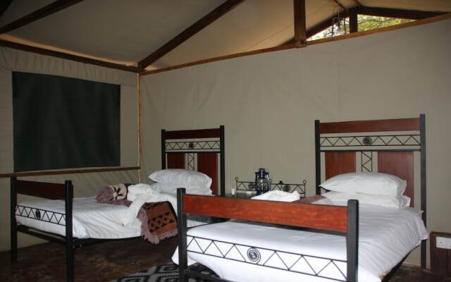 Miombo Safari Camp